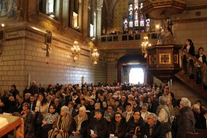 Solemnidad San José 2016: Eucaristía, Concelebrantes