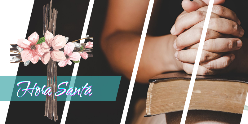 Manos rezan sobre una biblia.